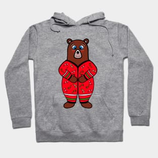 CHRISTMAS  Bear Bedtime Bear Lover Hoodie